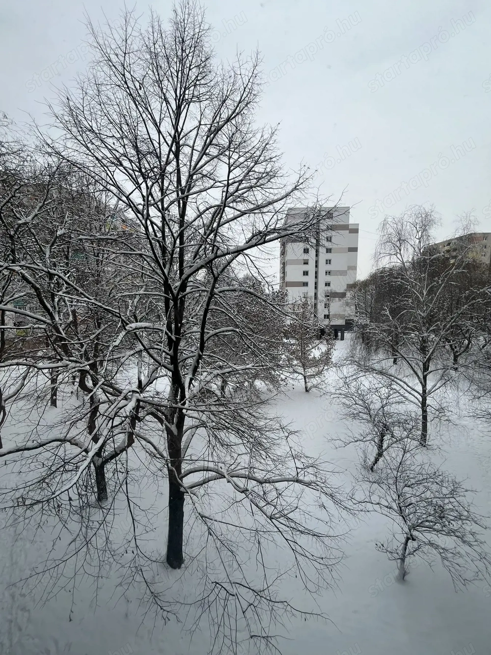 Szuper beosztású Békásmegyeri eladó lakás