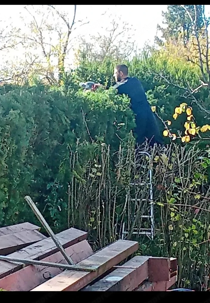 favágás kerti munka