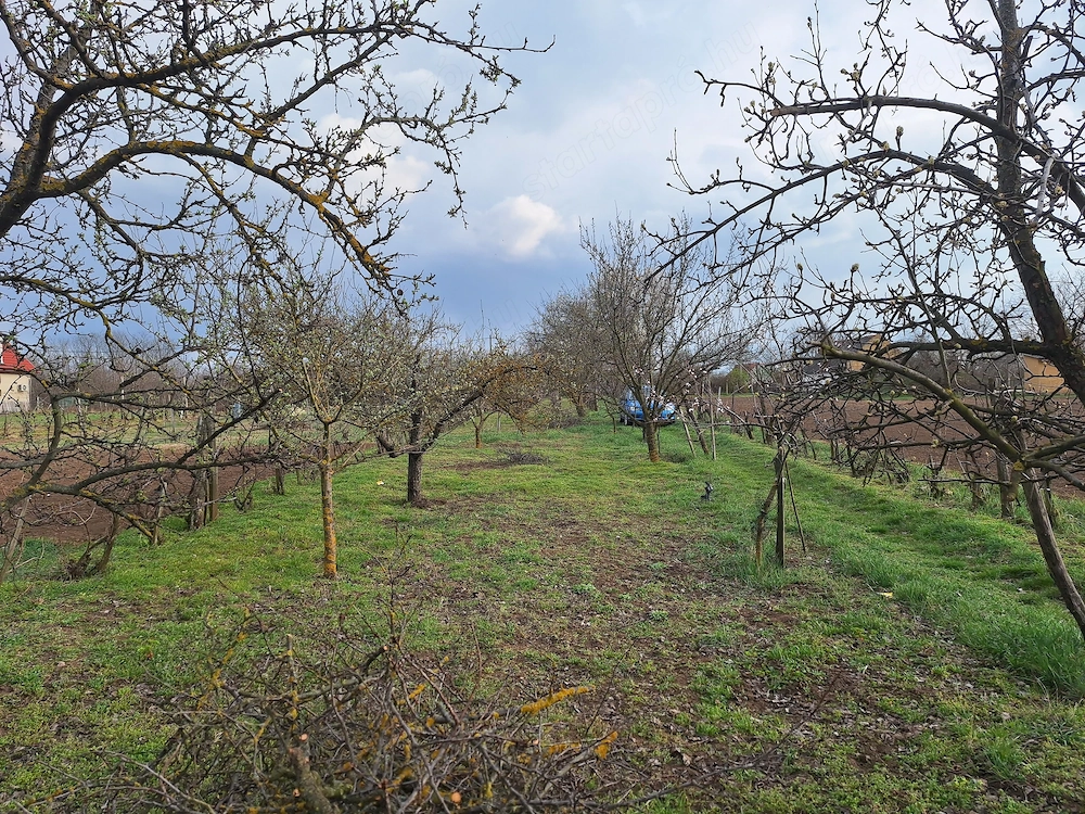 Eladó hétvégi ház