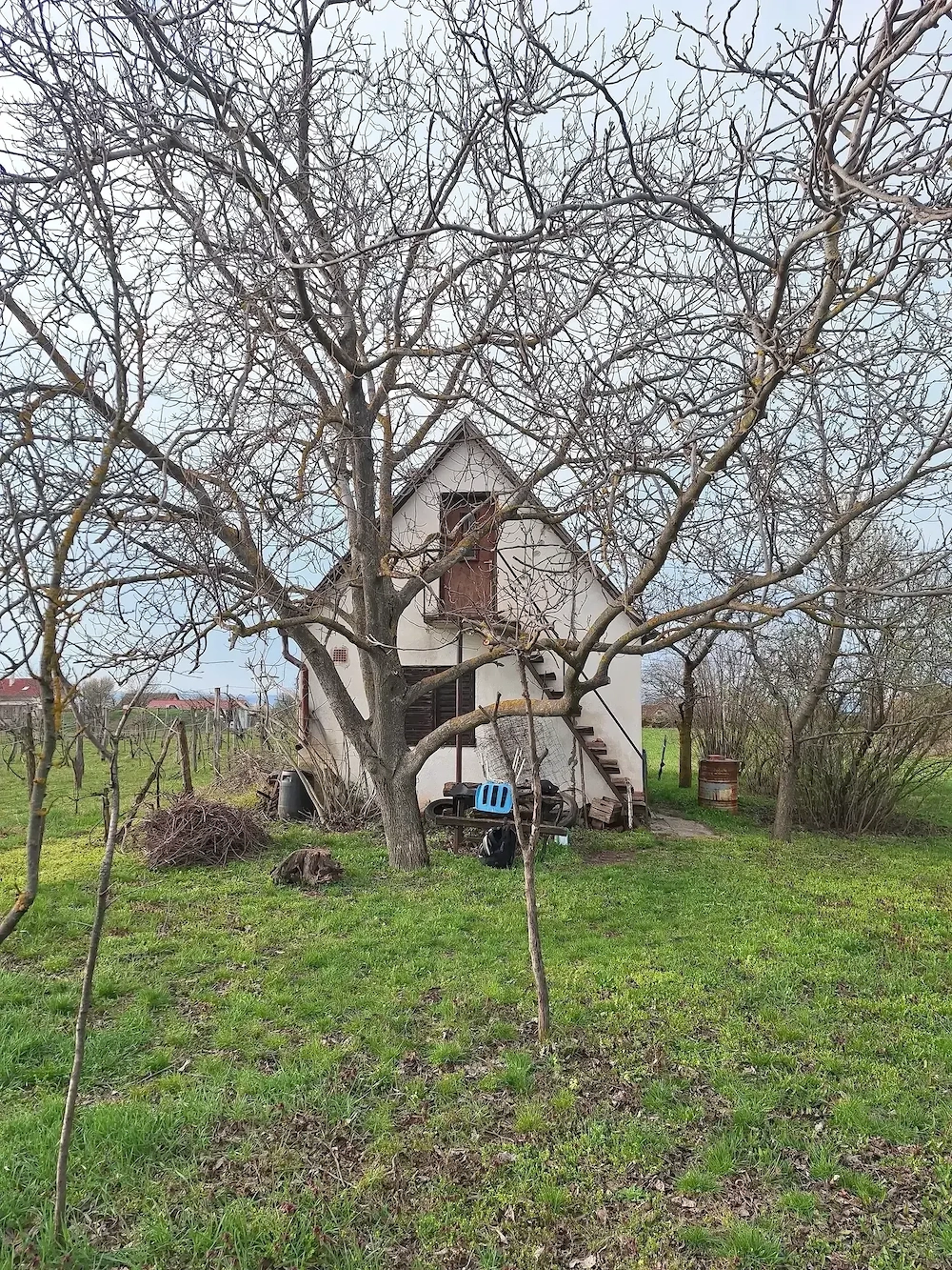 Eladó hétvégi ház