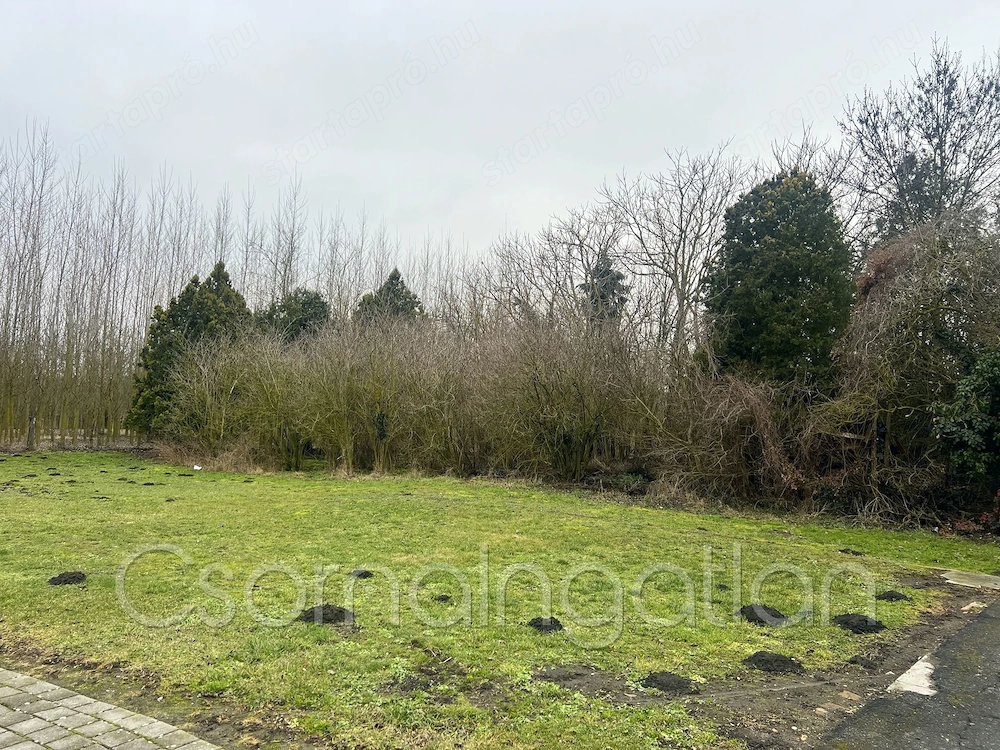 Tárnokréti - építési telek eladó