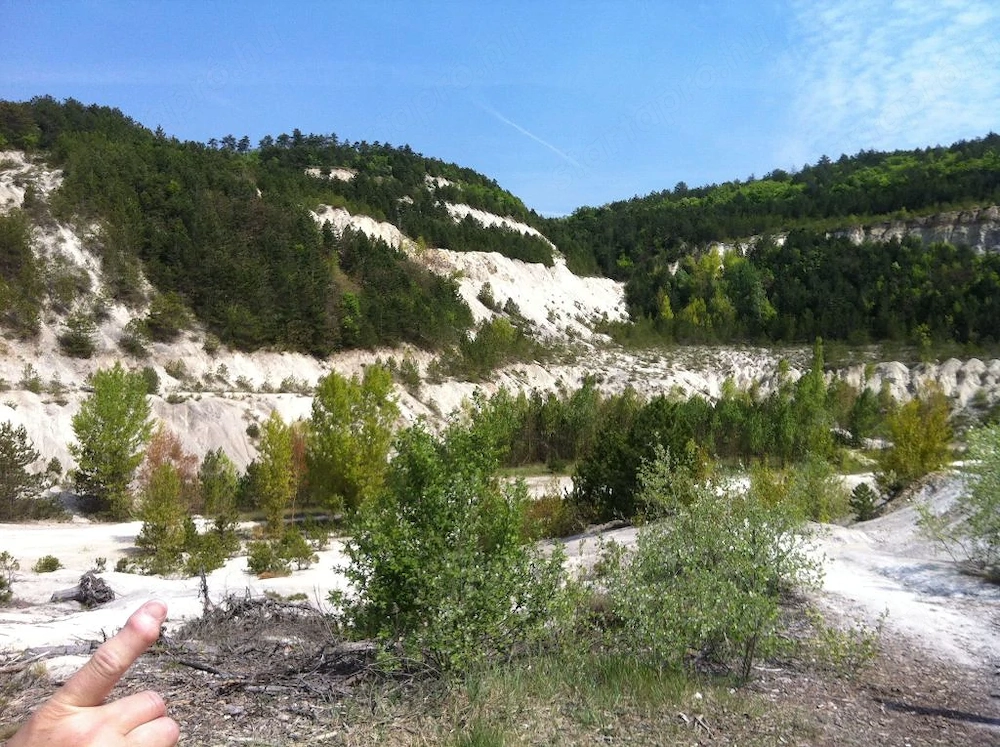 Gyenesdiáson 19,5 hektáros fejlesztési terület eladó