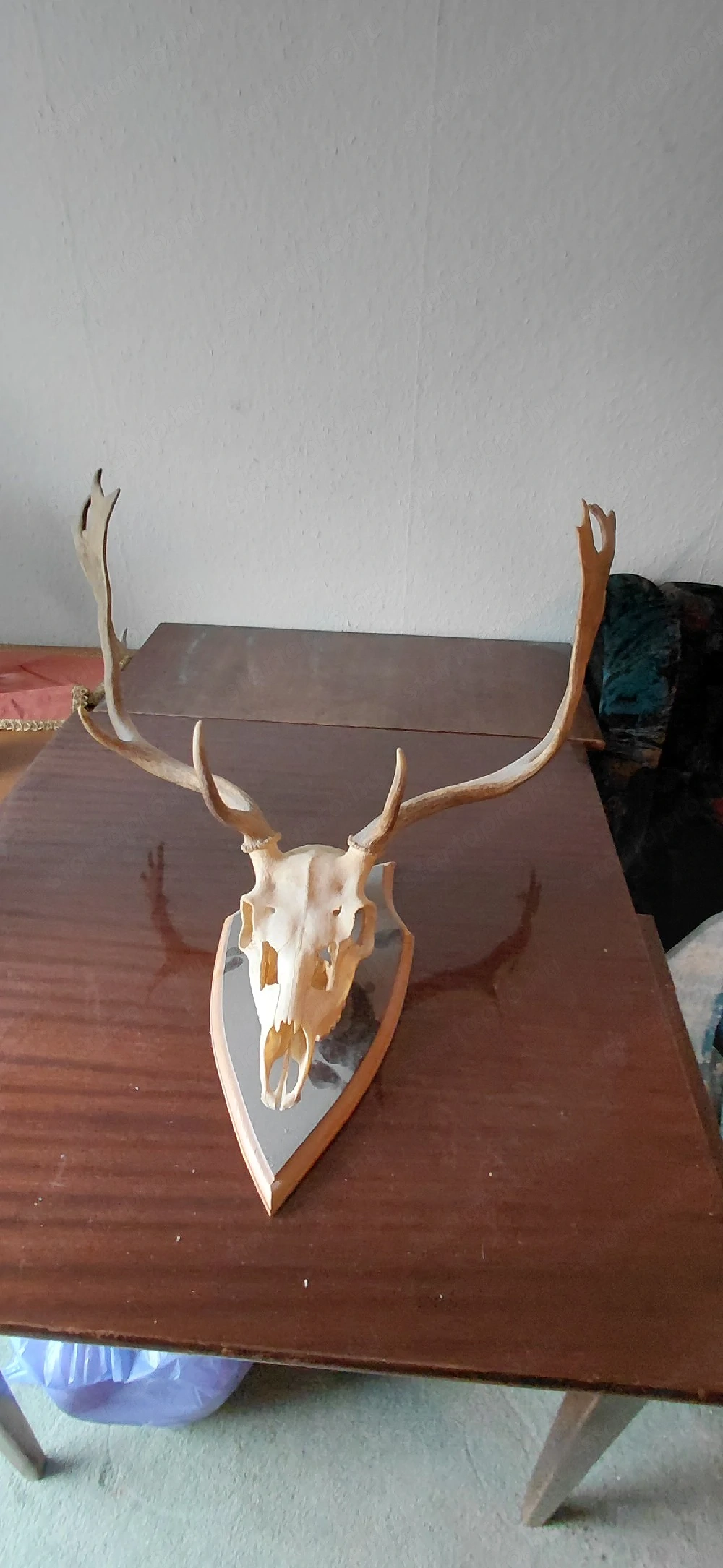 hagyatékból származó aggancsok eladóak