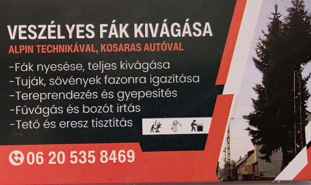 Veszélyessé vált fák vágása, nyesése. 