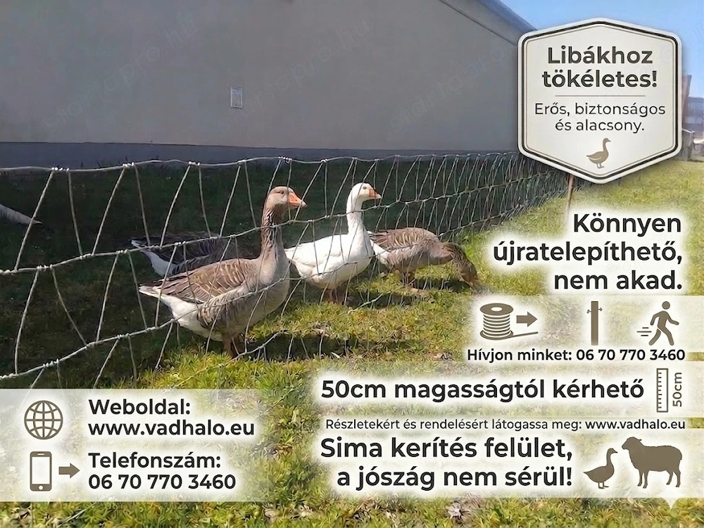 trapézdrótháló,vadháló,dróthálló,kerítésdrót