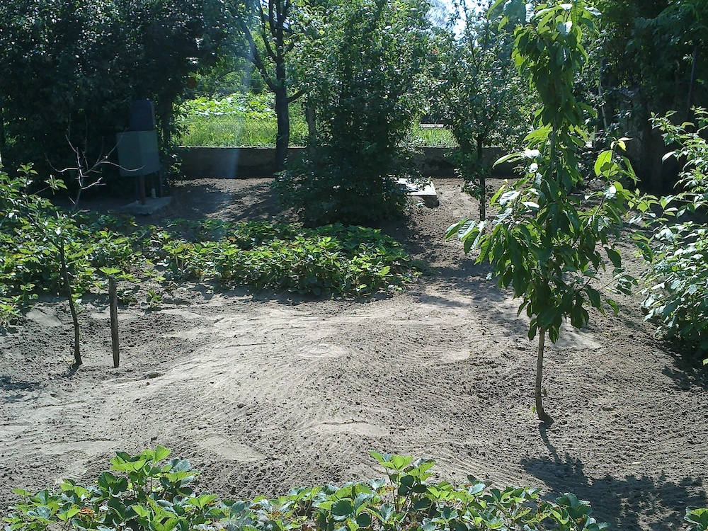 Debrecenben zártkert gazdasági épületekkel bérbeadó kedvező áron