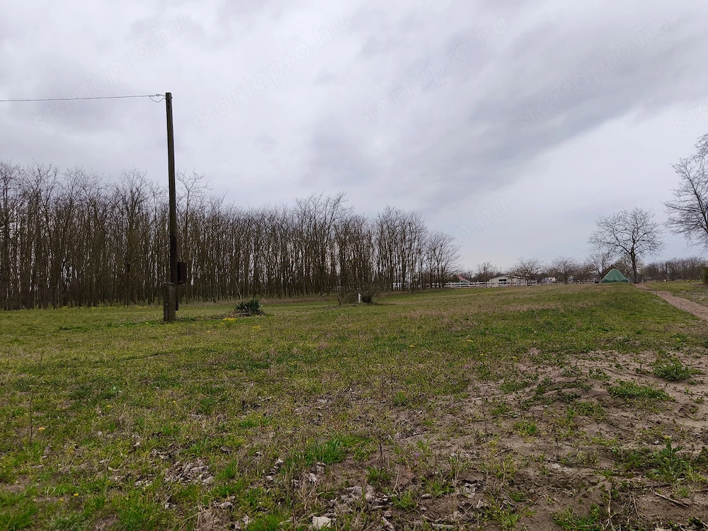 Kiskunmajsa Ötfa részén beépíthető zártkerti telek eladó!