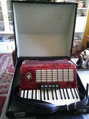 Weltmeisster stella Teljes felújításon vett részt. ELADÓ vagy HOHNER érdekel cserébe.