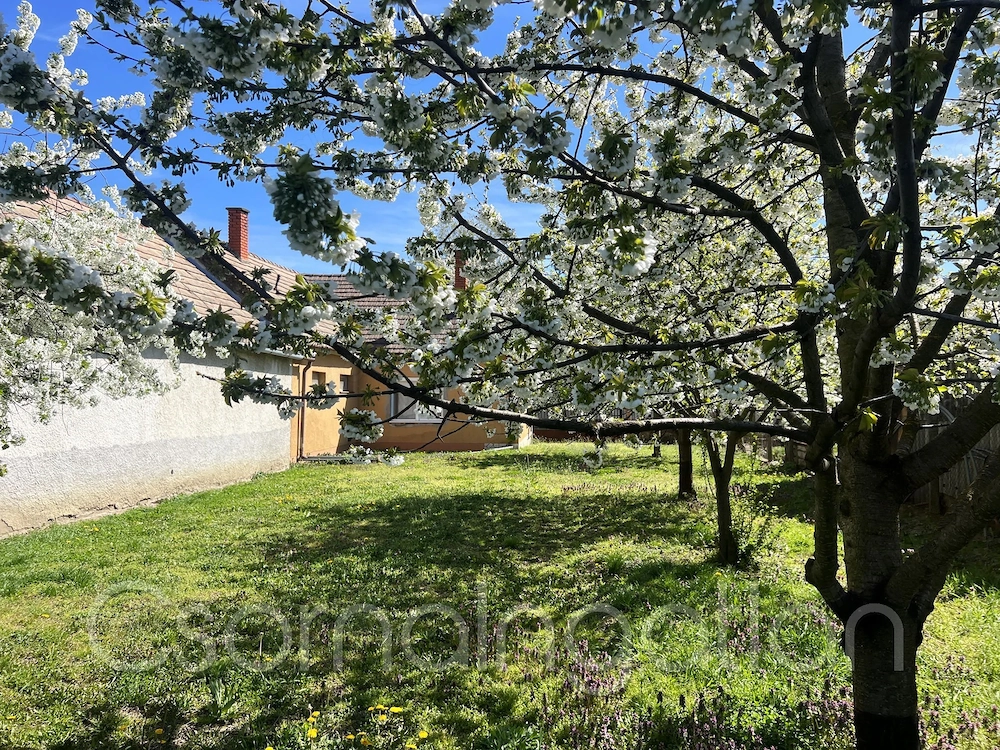 Szil   3 szobás azonnal birtokba vehető ház eladó