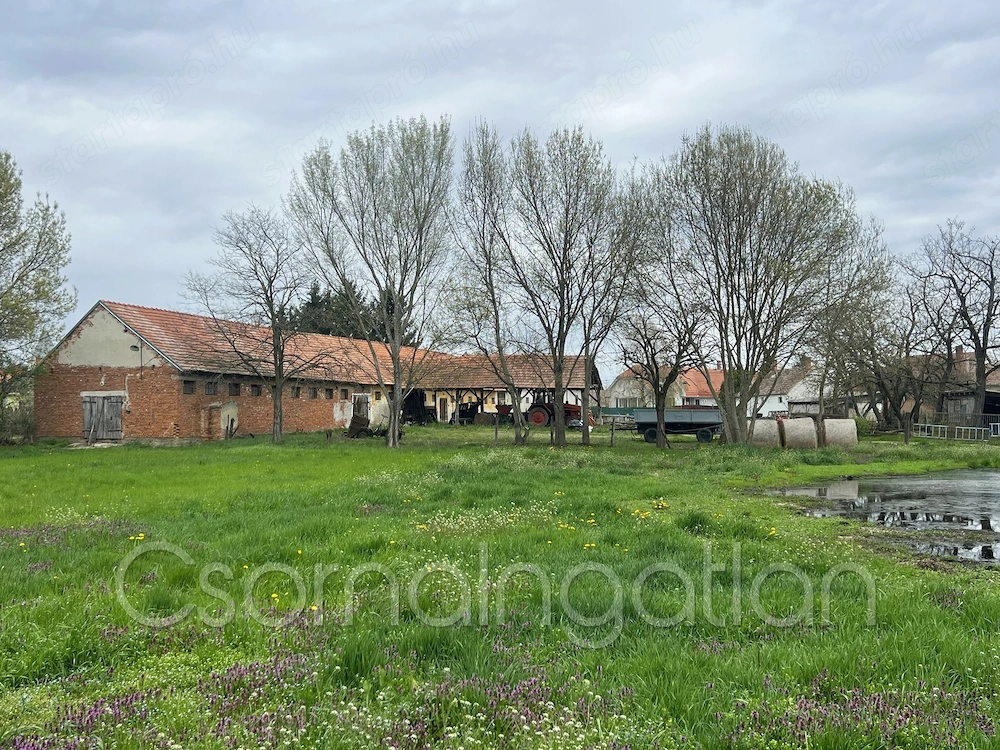 Potyond - ló-, és állattartásra alkalmas gazdasági épület nagy területen eladó