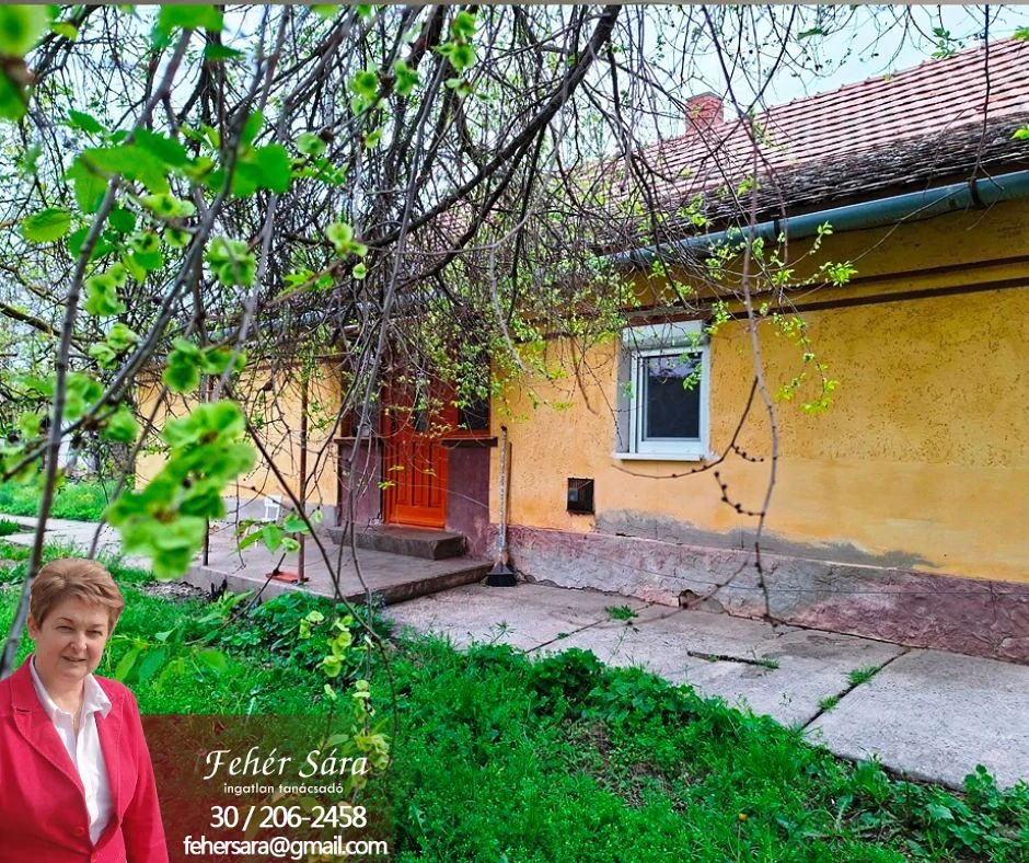 Vidéki vályogház dupla területtel eladó.