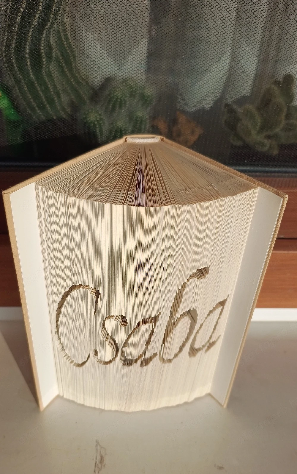 Könyvszobor, ajándék Csaba felirattal 