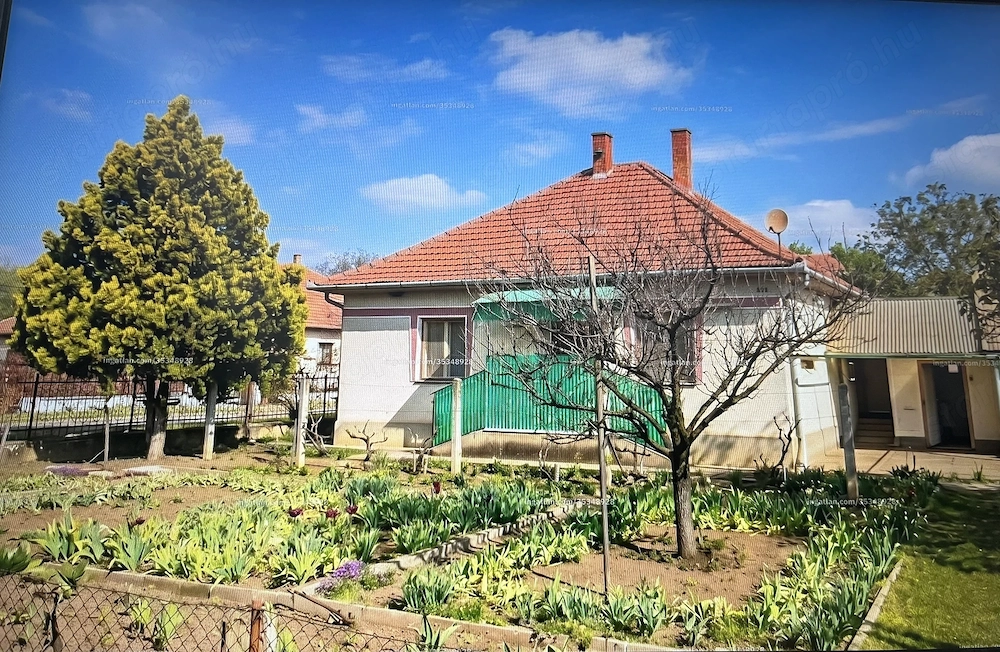 Eladó családi ház 163 nm+1105nm pénzt termelő gyümölcs kert Jászszentandráson