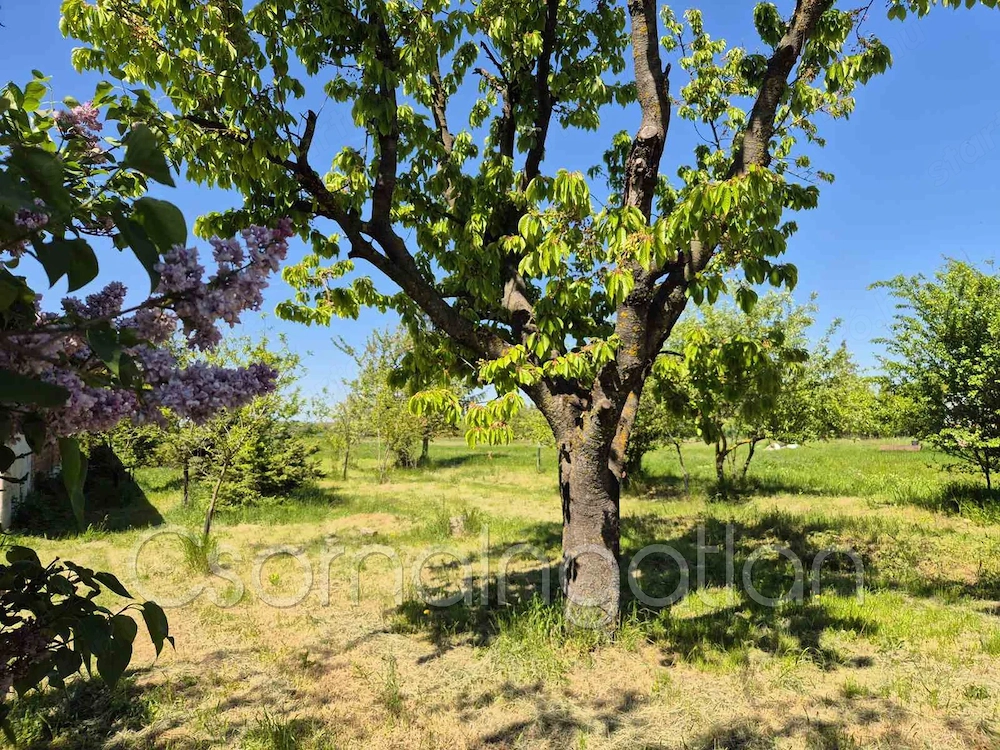  Páli - részben közművesített építési telek eladó