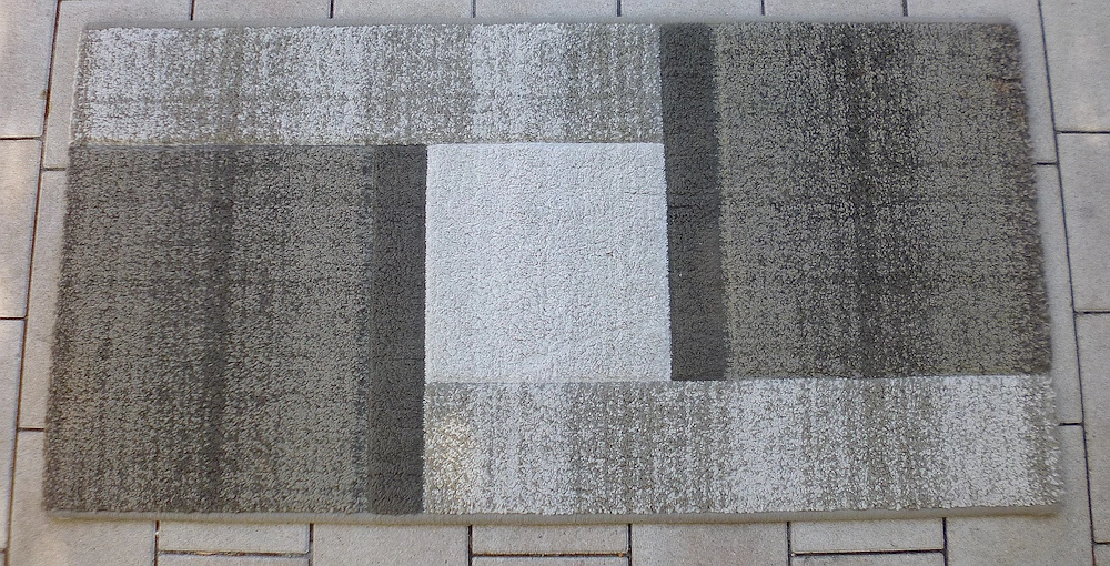 Romeo Leguan szőnyeg (66 x 130 cm)