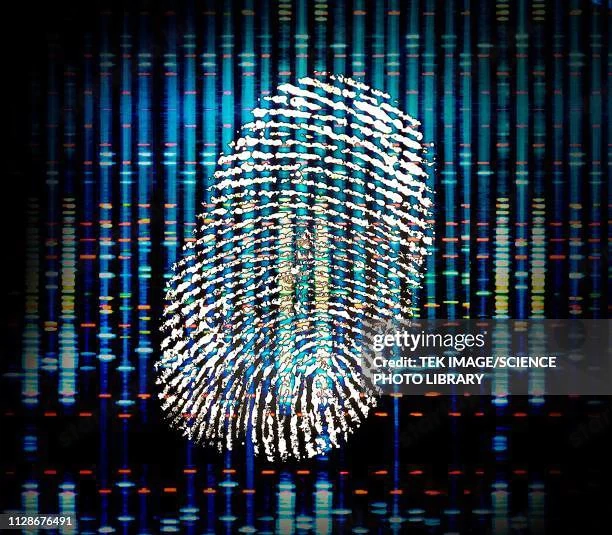 Informatika, távmunka, tartalomkezelő rendszer