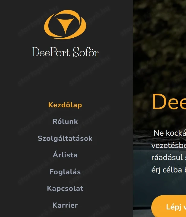 Induló sofőrszolgálat vállalkozás eladó!