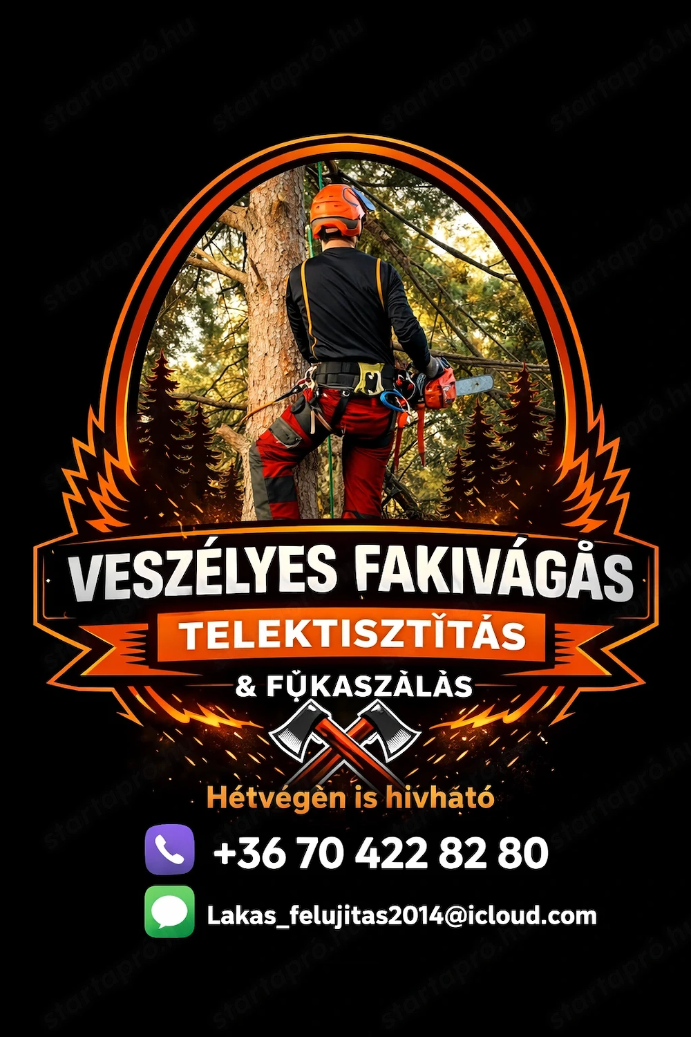 Fakivágás és Telektisztítás  