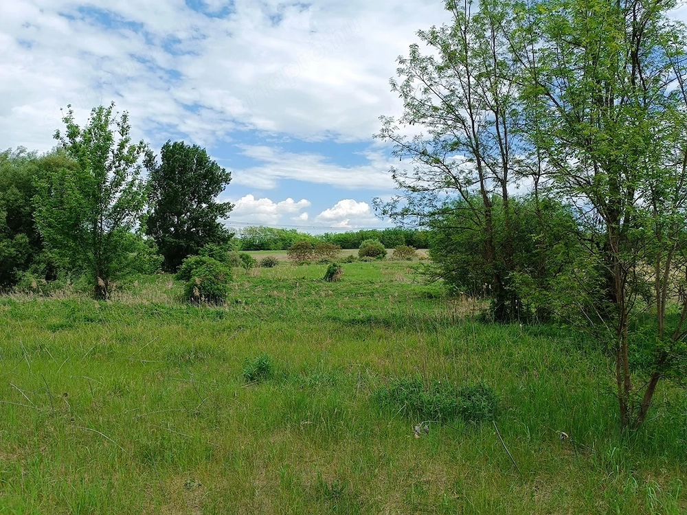 Eladásra kínálok 11000 m2-es mezőgazdasági telket, Őrbottyán határában.