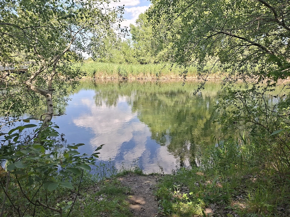 Eladó müködő horgásztó