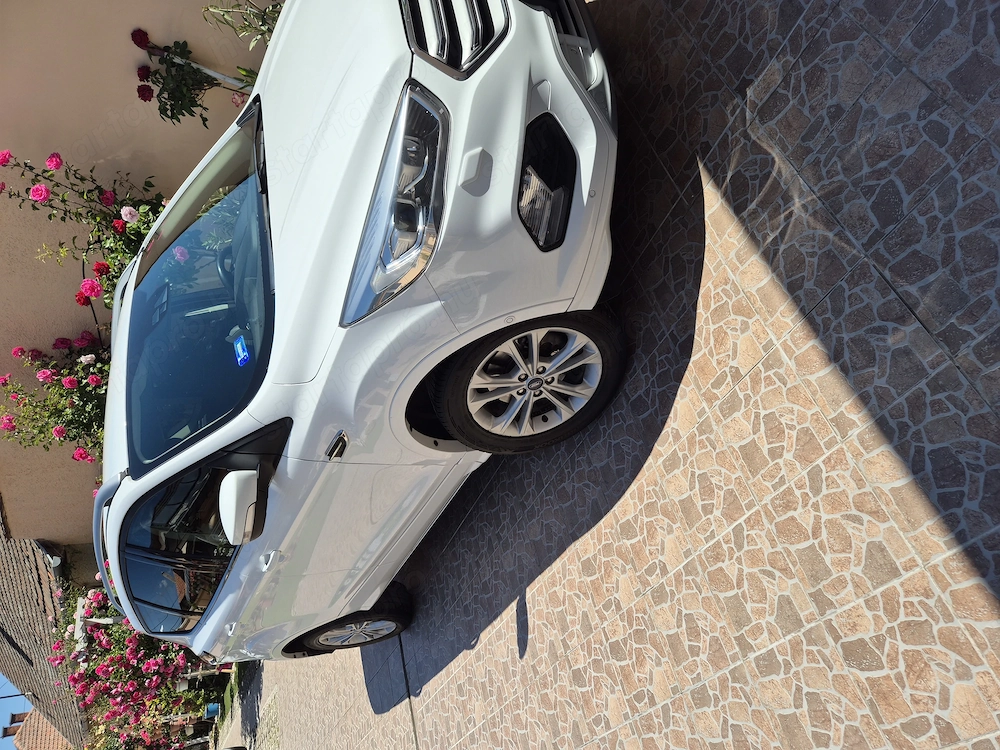 Ford Kuga elado