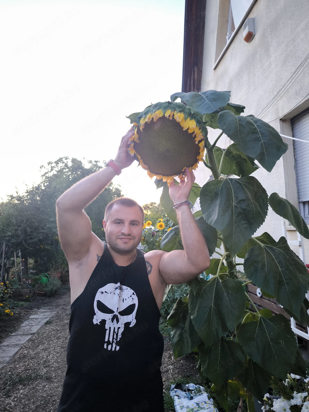 Ki keres, talál.Kellemes időtöltéshez keresek