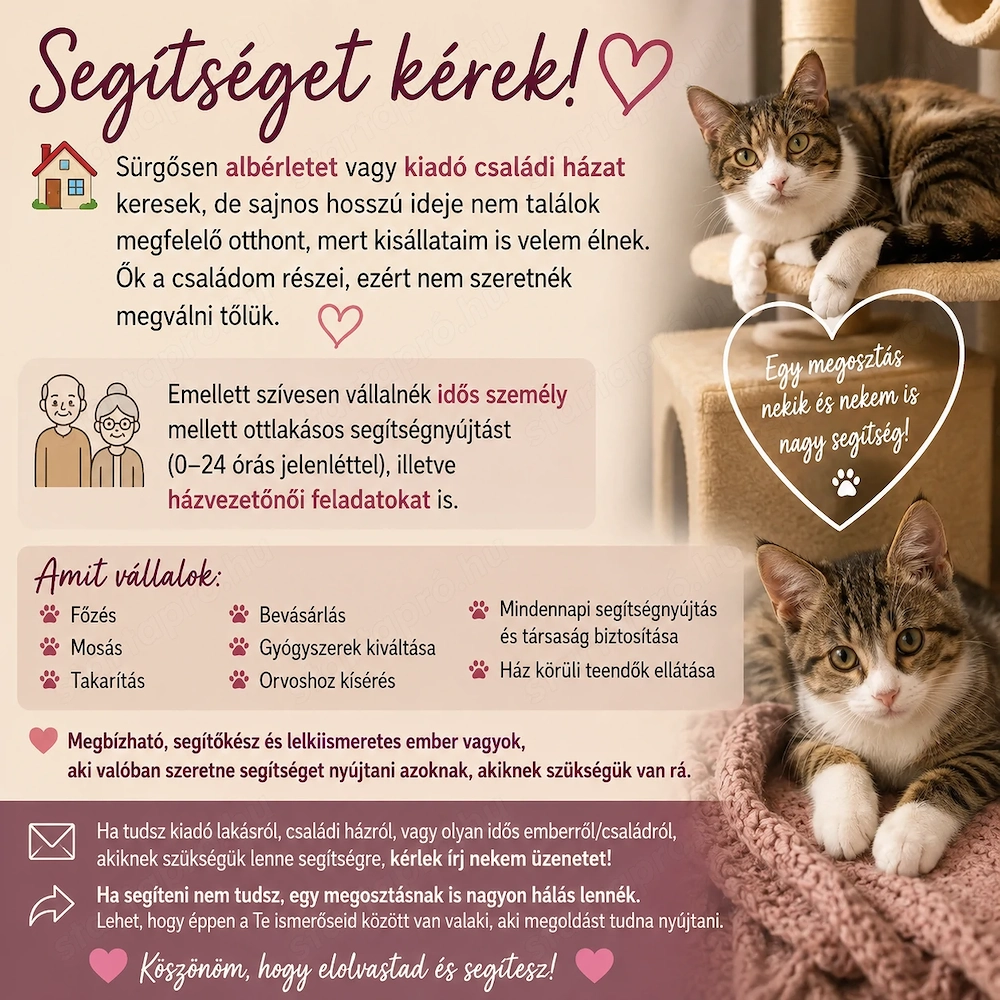 Albérlet keresek (Dunántúl vagy Bp.)