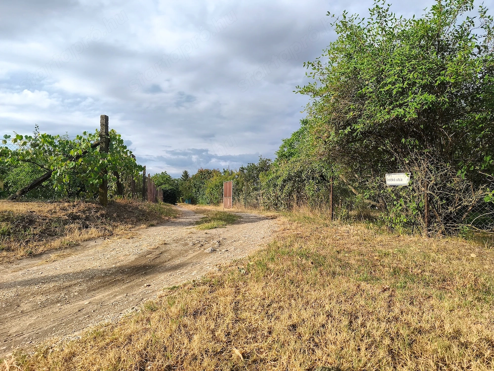 Eladó 996 m -es belterületi telek Győrben,  a fehérlakosi dülőben.(Iparipark és a város között)