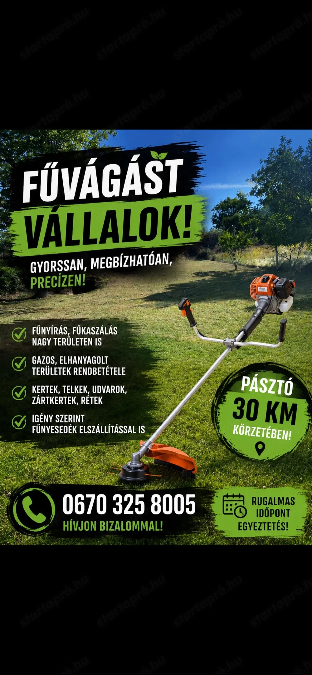 Fűnyírás gyorsan és igényesen! Vállalok fűnyírást, kert rendbetételt megbízhatóan, kedvező áron.