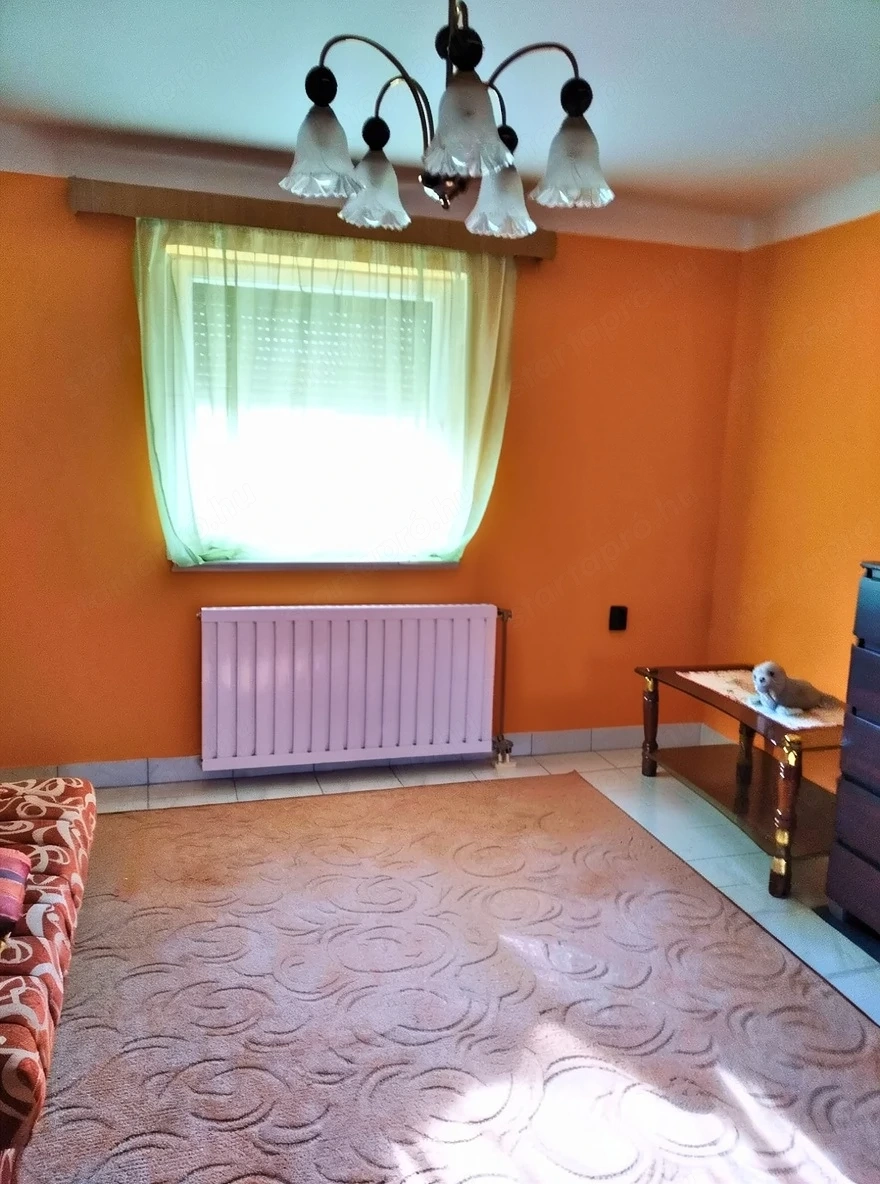 Univerzális Ingatlan.Lakóháznak és Vállalkozásra is!