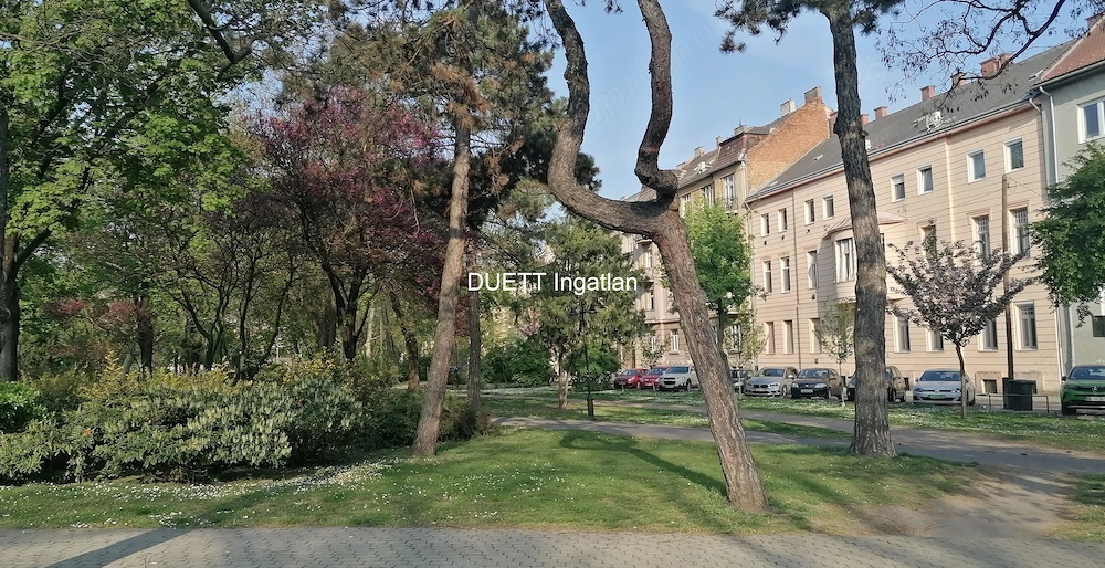 Győr-Belvárosában, a Bisinger sétányon parkra néző 72 m2-es, erkélyes lakás eladó