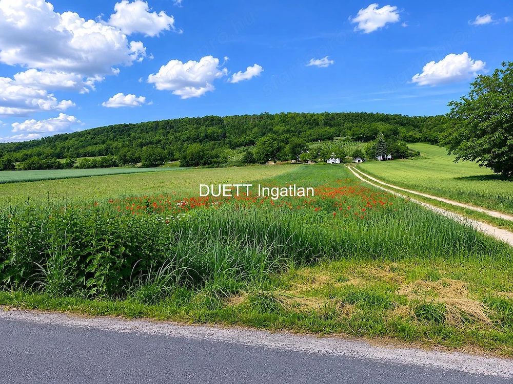 Kajárpécen   Győrtől 20 kmk-re   2561 m2-es telek eladó