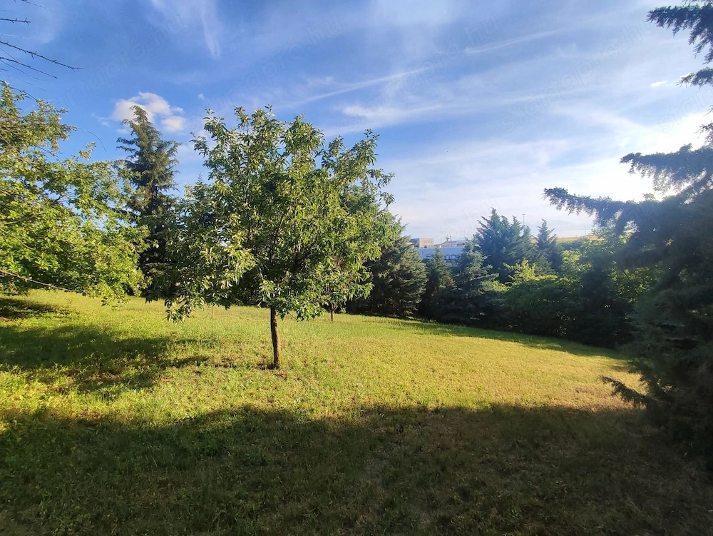 1090m² · Föld