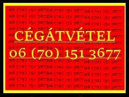 Cégátvétel!