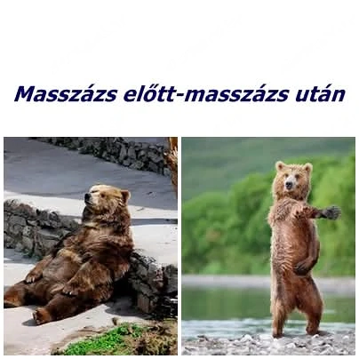 Sok a stressz? Feszesek az izmaid? Elfáradtál a hétköznapokban?