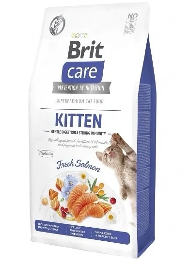 Brit kitten 