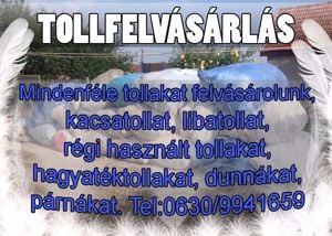 Keresek: Tollfelvásárlás, libatoll, kacsatoll, dunna, párna, paplan, pehely - kép 2