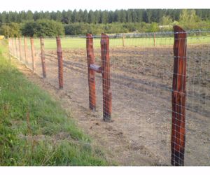vadháló,drótfonat,kerítés építés,akác oszlop,vadriasztó huzal - kép 2