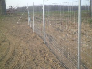 vadháló,drótfonat,kerítés építés,akác oszlop,vadriasztó huzal - kép 3