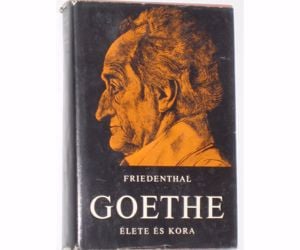 Friedenthal Goethe élete és kora