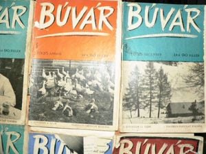 Búvár folyóirat 6db / 1935 - kép 2