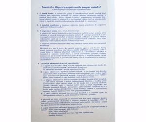 2db 90x200cm mágneses, fűthető, gyógy ágybetét / matrac - kép 8