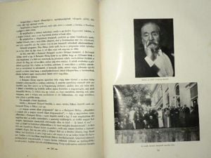 Harsányi Zsolt Rákosi Jenő élete és művei / könyv 1930 Fővárosi Könyvkiadó - kép 6