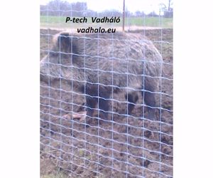vadháló,drótfonat,kerítés építés,akác oszlop,vadriasztó huzal - kép 7