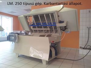 L.M. 250 típusú láda-rekeszmosó, alkatrészmosó gép, berendezés. - kép 3