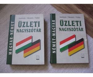 Német-magyar és magyar-német üzleti nagyszótár