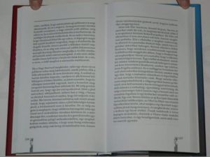 Kiss Yudit Apám halálának nyara/ könyv Nora Könyvek 2006 - kép 2