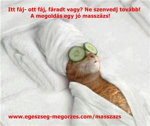 Itt fáj- ott fáj, fáradt vagy? Nálam a megoldás!