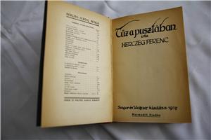 Herczeg Ferenc Tűz a pusztában / antik könyv  Singer éls Wolfner kiadása 1917  - kép 3