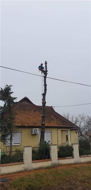 Bozótirtás, fűkaszálás, kaszálás, parlagfűirtás - kép 6